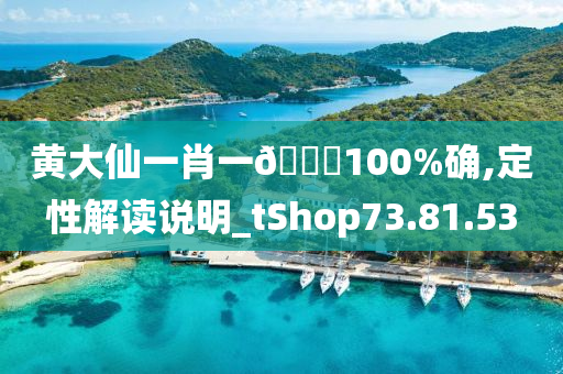 黄大仙一肖一🐎100%确,定性解读说明_tShop73.81.53