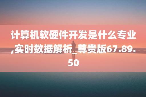 计算机软硬件开发是什么专业,实时数据解析_尊贵版67.89.50