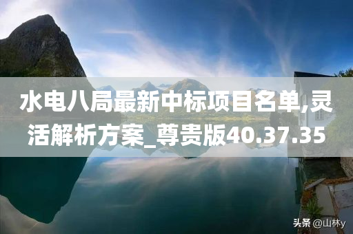 水电八局最新中标项目名单,灵活解析方案_尊贵版40.37.35