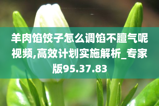 羊肉馅饺子怎么调馅不膻气呢视频,高效计划实施解析_专家版95.37.83