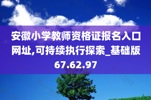 安徽小学教师资格证报名入口网址,可持续执行探索_基础版67.62.97