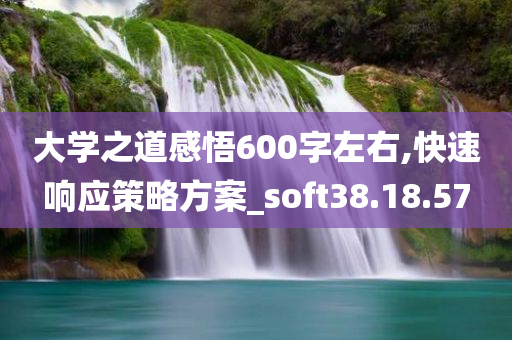 大学之道感悟600字左右,快速响应策略方案_soft38.18.57