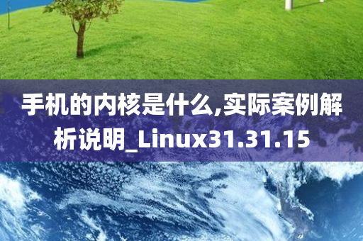 手机的内核是什么,实际案例解析说明_Linux31.31.15