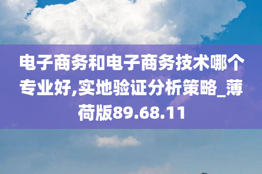 电子商务和电子商务技术哪个专业好,实地验证分析策略_薄荷版89.68.11