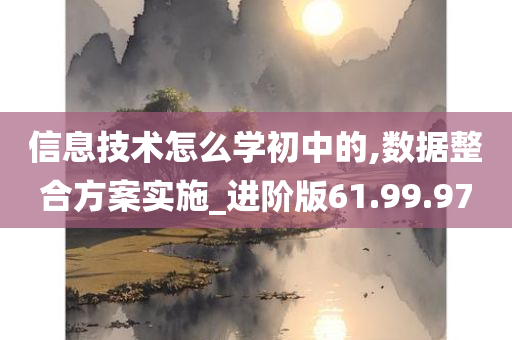 信息技术怎么学初中的,数据整合方案实施_进阶版61.99.97