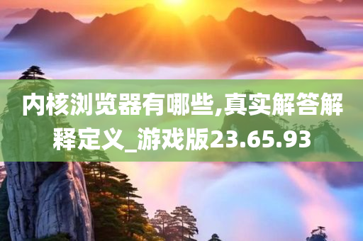 内核浏览器有哪些,真实解答解释定义_游戏版23.65.93