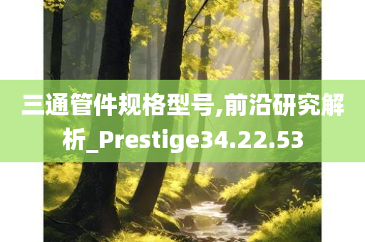 三通管件规格型号,前沿研究解析_Prestige34.22.53