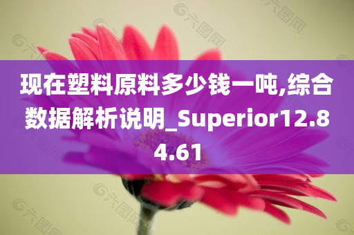 现在塑料原料多少钱一吨,综合数据解析说明_Superior12.84.61