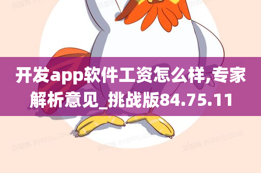 开发app软件工资怎么样,专家解析意见_挑战版84.75.11