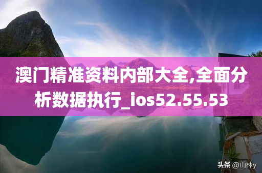 澳门精准资料内部大全,全面分析数据执行_ios52.55.53