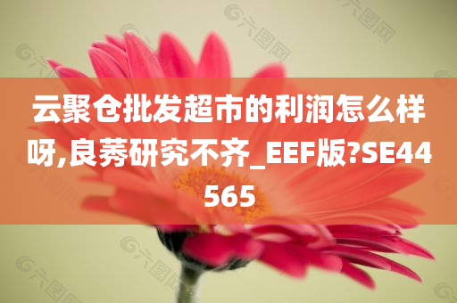 云聚仓批发超市的利润怎么样呀,良莠研究不齐_EEF版?SE44565