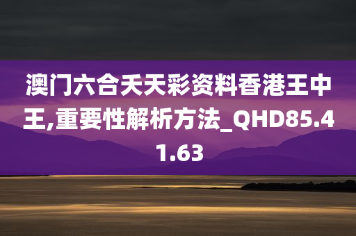 澳门六合夭天彩资料香港王中王,重要性解析方法_QHD85.41.63