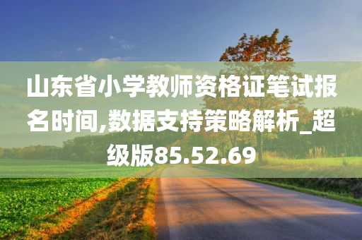 山东省小学教师资格证笔试报名时间,数据支持策略解析_超级版85.52.69