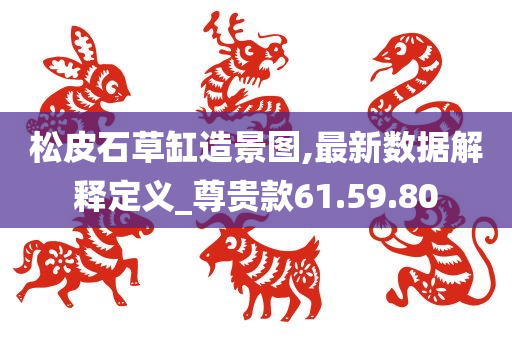 松皮石草缸造景图,最新数据解释定义_尊贵款61.59.80