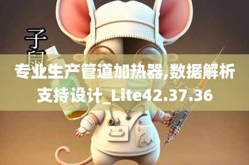 专业生产管道加热器,数据解析支持设计_Lite42.37.36