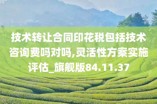 技术转让合同印花税包括技术咨询费吗对吗,灵活性方案实施评估_旗舰版84.11.37