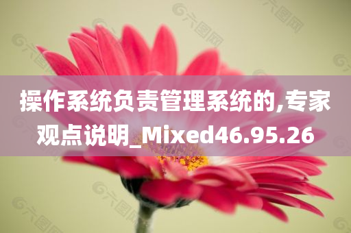 操作系统负责管理系统的,专家观点说明_Mixed46.95.26