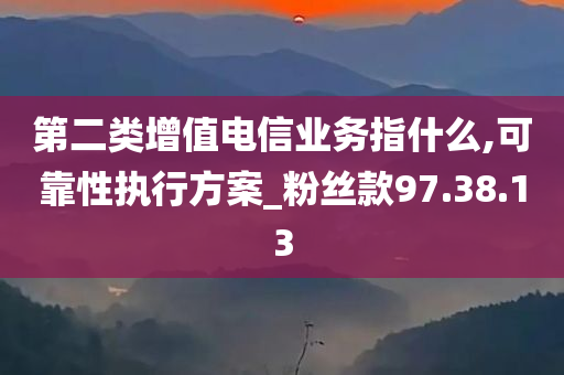 第二类增值电信业务指什么,可靠性执行方案_粉丝款97.38.13