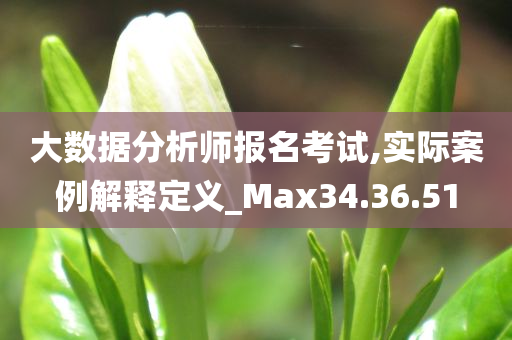 大数据分析师报名考试,实际案例解释定义_Max34.36.51