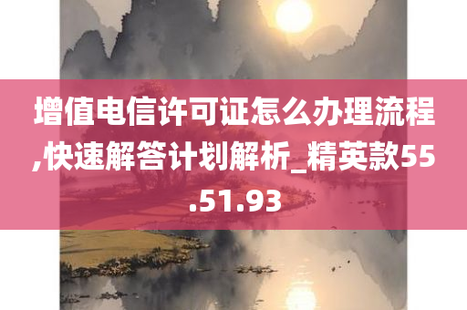 增值电信许可证怎么办理流程,快速解答计划解析_精英款55.51.93