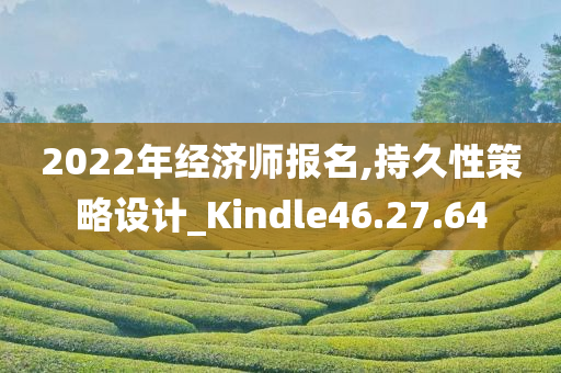 2022年经济师报名,持久性策略设计_Kindle46.27.64