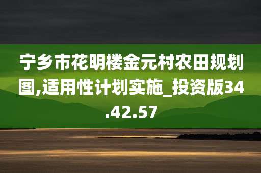 宁乡市花明楼金元村农田规划图,适用性计划实施_投资版34.42.57