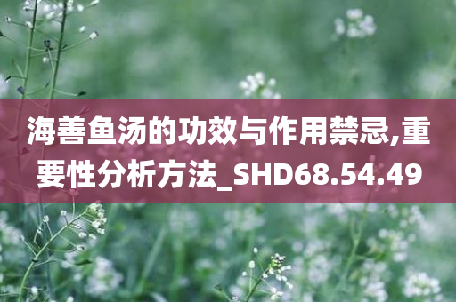 海善鱼汤的功效与作用禁忌,重要性分析方法_SHD68.54.49