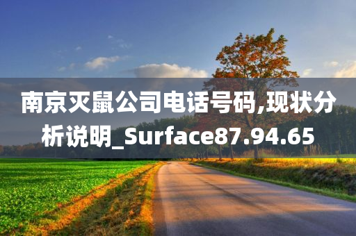 南京灭鼠公司电话号码,现状分析说明_Surface87.94.65