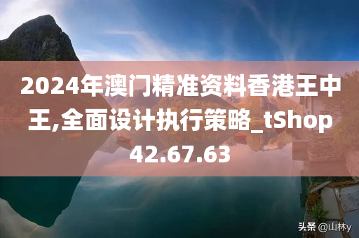 2024年澳门精准资料香港王中王,全面设计执行策略_tShop42.67.63