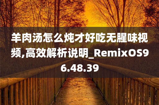 羊肉汤怎么炖才好吃无腥味视频,高效解析说明_RemixOS96.48.39