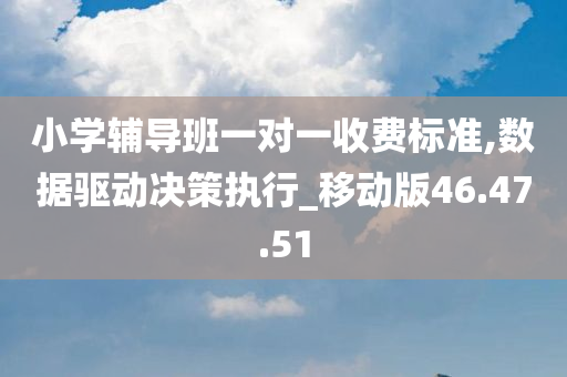 小学辅导班一对一收费标准,数据驱动决策执行_移动版46.47.51