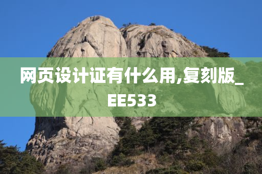 网页设计证有什么用,复刻版_EE533