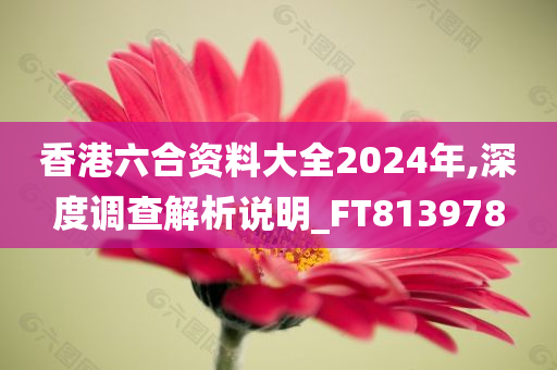 香港六合资料大全2024年,深度调查解析说明_FT813978