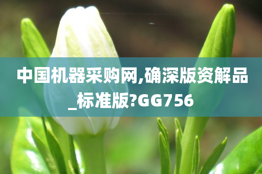 中国机器采购网,确深版资解品_标准版?GG756