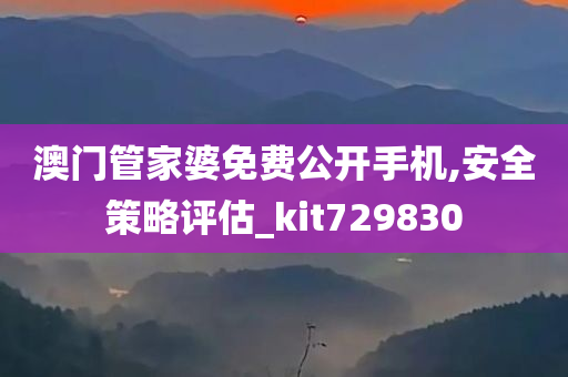 澳门管家婆免费公开手机,安全策略评估_kit729830