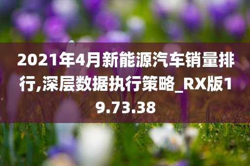 2021年4月新能源汽车销量排行,深层数据执行策略_RX版19.73.38