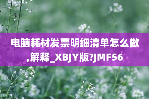 电脑耗材发票明细清单怎么做,解释_XBJY版?JMF56