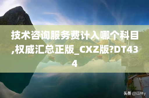 技术咨询服务费计入哪个科目,权威汇总正版_CXZ版?DT434