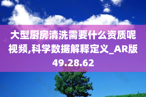 大型厨房清洗需要什么资质呢视频,科学数据解释定义_AR版49.28.62