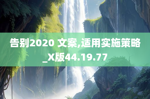 告别2020 文案,适用实施策略_X版44.19.77