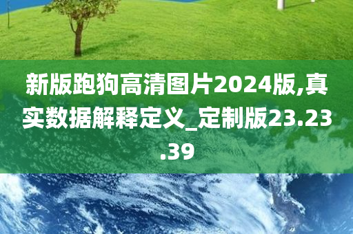 新版跑狗高清图片2024版,真实数据解释定义_定制版23.23.39