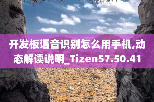 开发板语音识别怎么用手机,动态解读说明_Tizen57.50.41