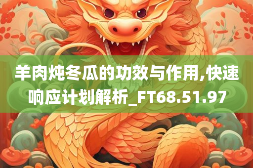 羊肉炖冬瓜的功效与作用,快速响应计划解析_FT68.51.97