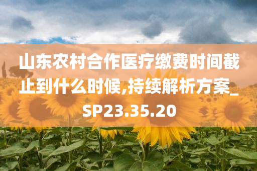 山东农村合作医疗缴费时间截止到什么时候,持续解析方案_SP23.35.20