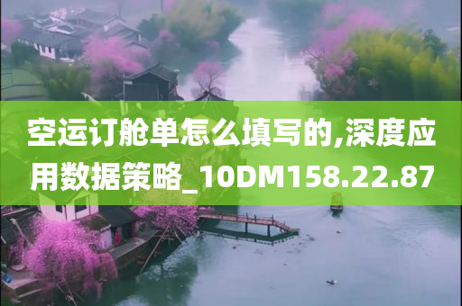 空运订舱单怎么填写的,深度应用数据策略_10DM158.22.87