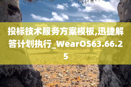 投标技术服务方案模板,迅捷解答计划执行_WearOS63.66.25