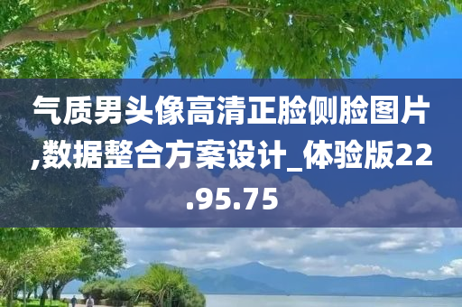 气质男头像高清正脸侧脸图片,数据整合方案设计_体验版22.95.75