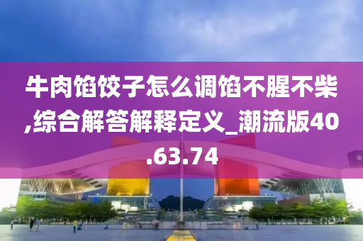 牛肉馅饺子怎么调馅不腥不柴,综合解答解释定义_潮流版40.63.74