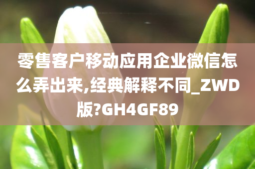 零售客户移动应用企业微信怎么弄出来,经典解释不同_ZWD版?GH4GF89