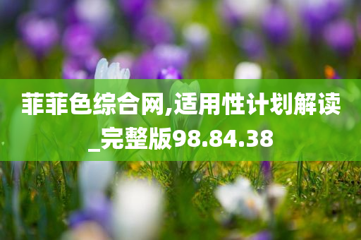 菲菲色综合网,适用性计划解读_完整版98.84.38